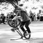 20250524_15-50-37_IMG_8513